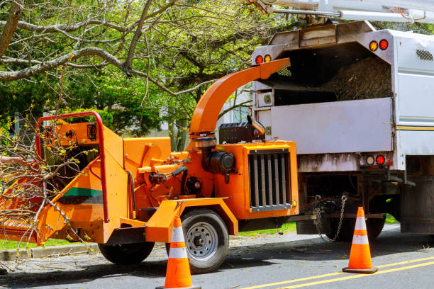 Best Grass Overseeding  in Tillamook, OR